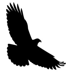 Adler