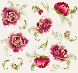 Seamless background. Illustration peony.