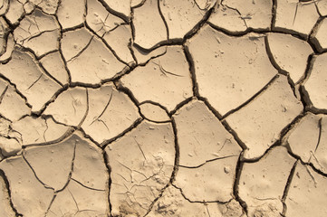 Dry ground texture