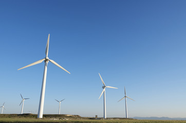 wind energy