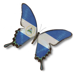 Nicaragua flag on butterfly