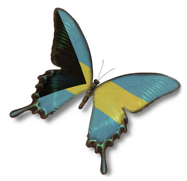 Bahamas flag on butterfly