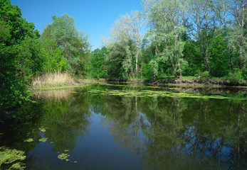 Fototapeta na wymiar View on the river , spring .Ukraine.