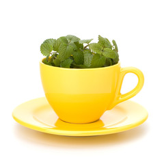 Herbal peppermint tea cup