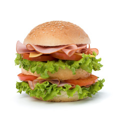 Junk food hamburger