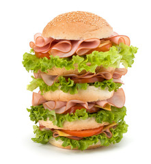 Junk food hamburger
