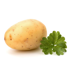 New potato and green parsley