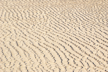 Desert sand background