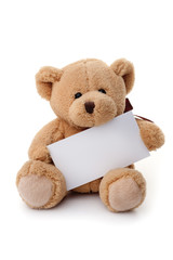 Teddy bear holding white banner
