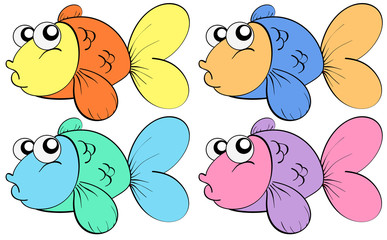 Fish in color
