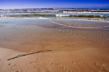 Coast of the Baltic sea.