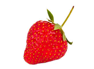 strawberries isolated