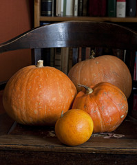 Set of pumpkins.
