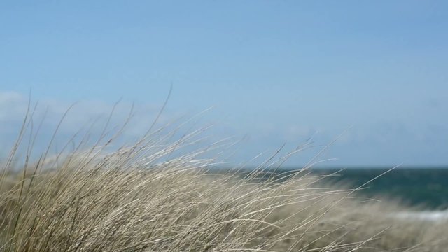 Düne im Wind