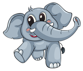 Cute elephant