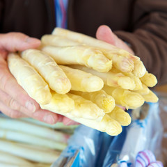 Spargel weiß 1. Klasse dick