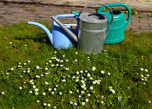 Garden watering-can spraying tools objects grass