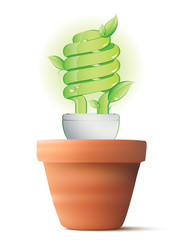 Lampada a basso consumo