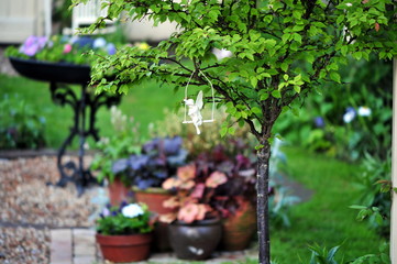 pretty garden