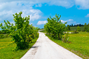 Rural road on sunny day