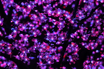 Obraz premium Violettes led