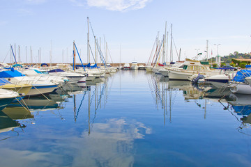 Many yachts in a port