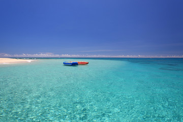 コバルトブルーの美しい海