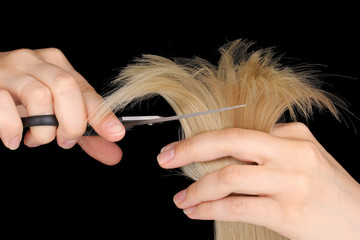 Shiny blond hair in hairdresser's hands isolated on black