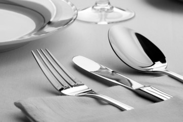 Fork, knife and spoon on the table