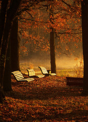 ławki w parku jesienią