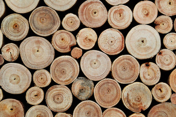 Logs Wood Backgrounds