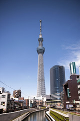 Fototapeta premium Tokyo Sky Tree widziane z Nishijukkenbashi