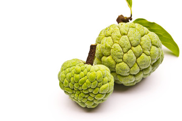 custard apple