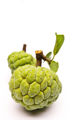 custard apple
