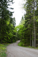 Winding road