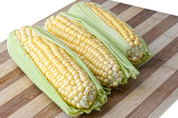 corn cobs