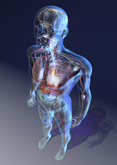 Der gl&auml;serne Mensch