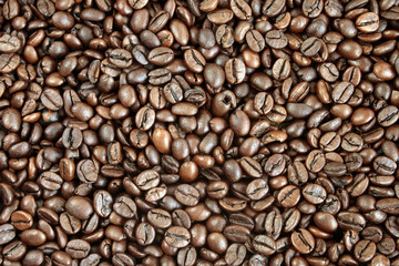 Coffee beans background