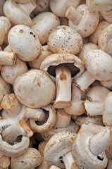 Champignons