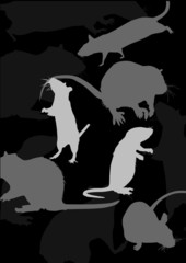 background with rats on black