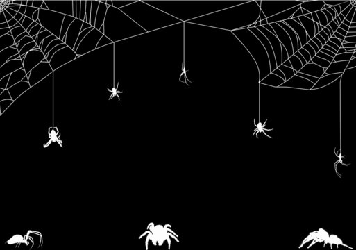 eight white spiders in web illustration