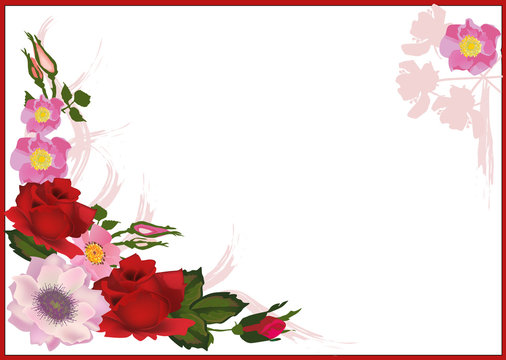 rose and brier flowers in red frame