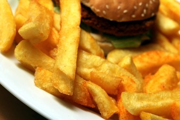 chicken burger with french fries