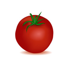 Tomato