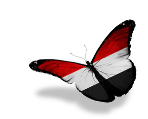 Yemeni flag butterfly flying, isolated on white background