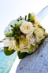 White roses