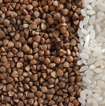 buckwheat and rice background. texture grain cut