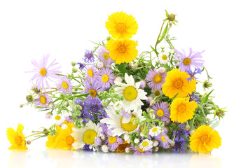 beautiful bouquet of bright  wildflowers, isolated on white © Africa Studio