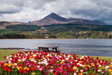 Sunday 29th June-Friday 4th July 2025 A 6 day tour to Ayrshire Coast and Arran 25 with Whittle Coach
