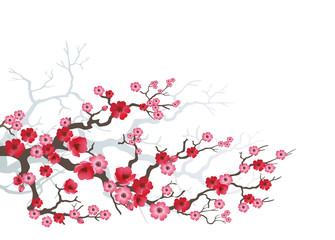 branch_sakura-03
